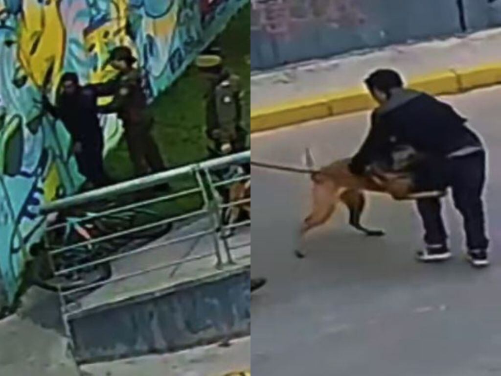 Captura