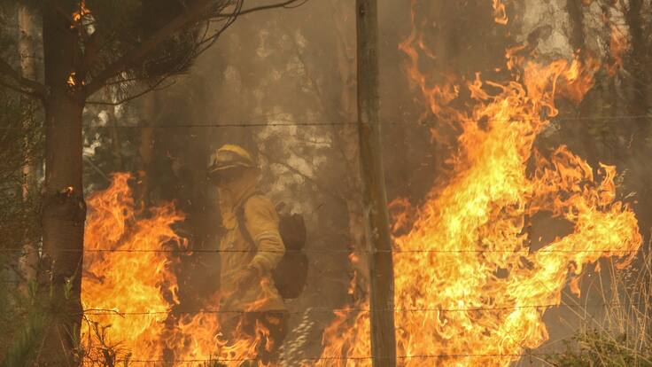 Puerto Montt: Senapred solicita evacuar sector de Las Canchas por incendio forestal