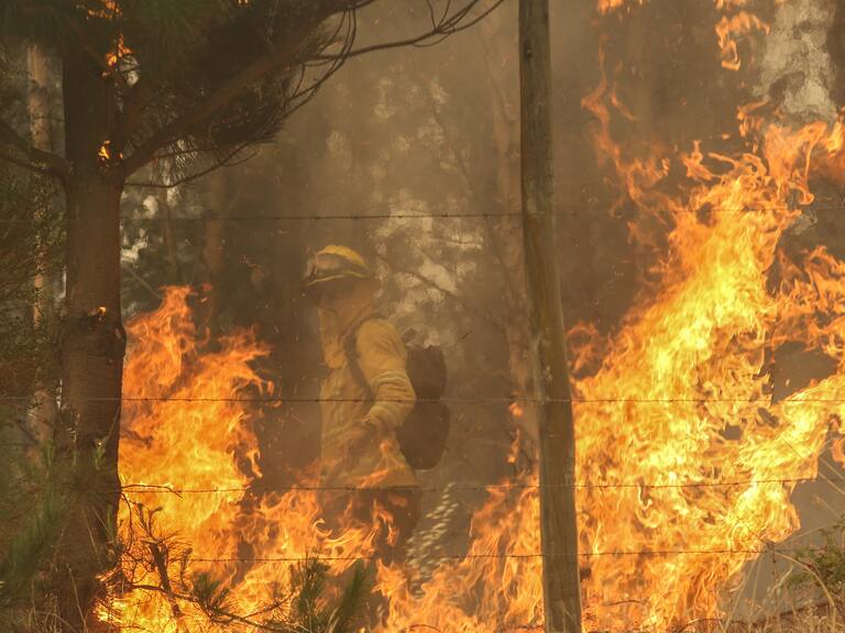 Puerto Montt: Senapred solicita evacuar sector de Las Canchas por incendio forestal