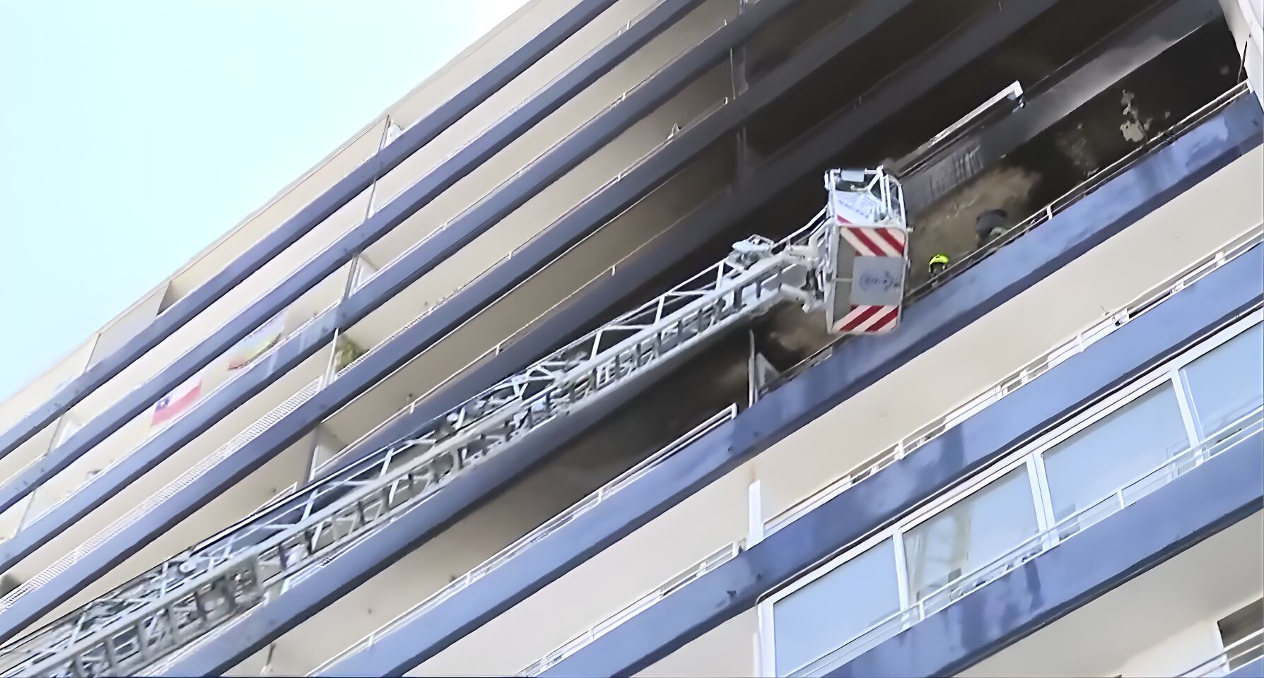 Incendio en Quinta Normal