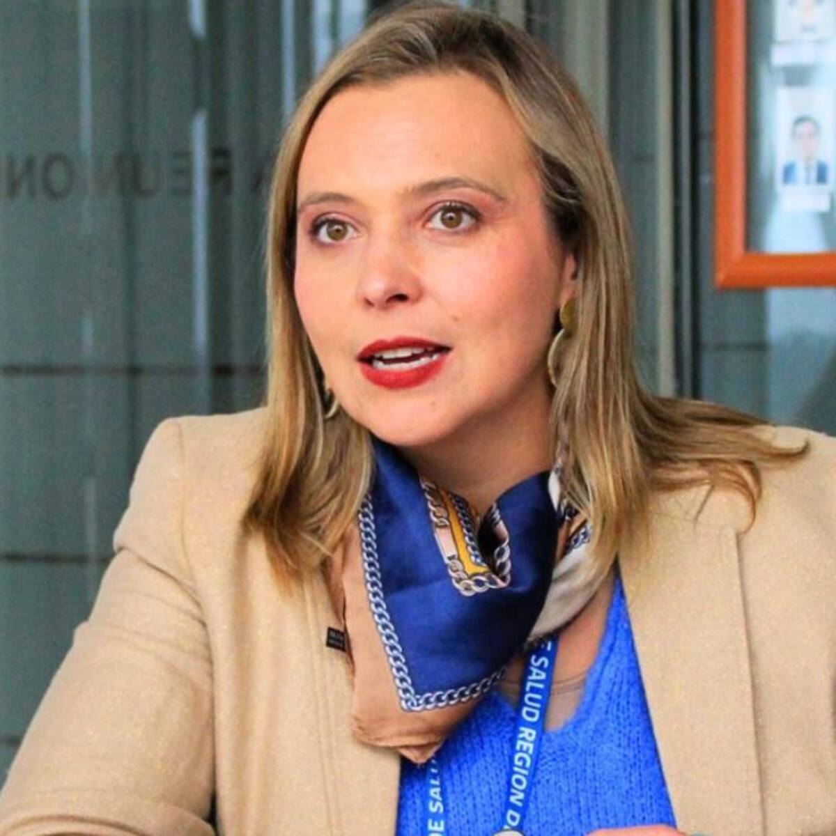 Gobierno pide renuncia a seremi de Salud de Los Lagos en medio de denuncias por Ley Karin