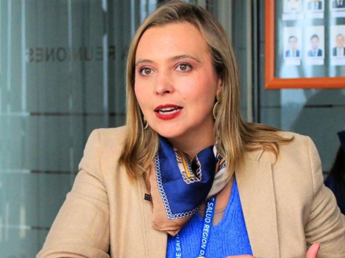 Gobierno pide renuncia a seremi de Salud de Los Lagos en medio de denuncias por Ley Karin