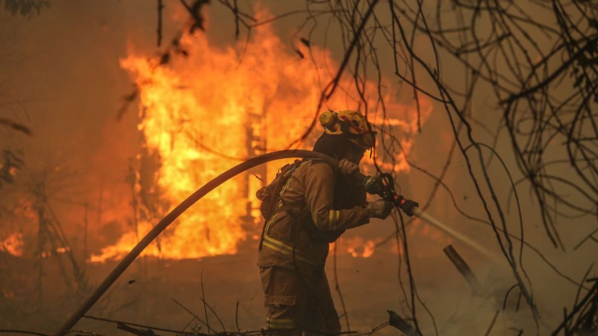 Coordinadora Arauco Malleco niega participación en incendios forestales en el sur del país