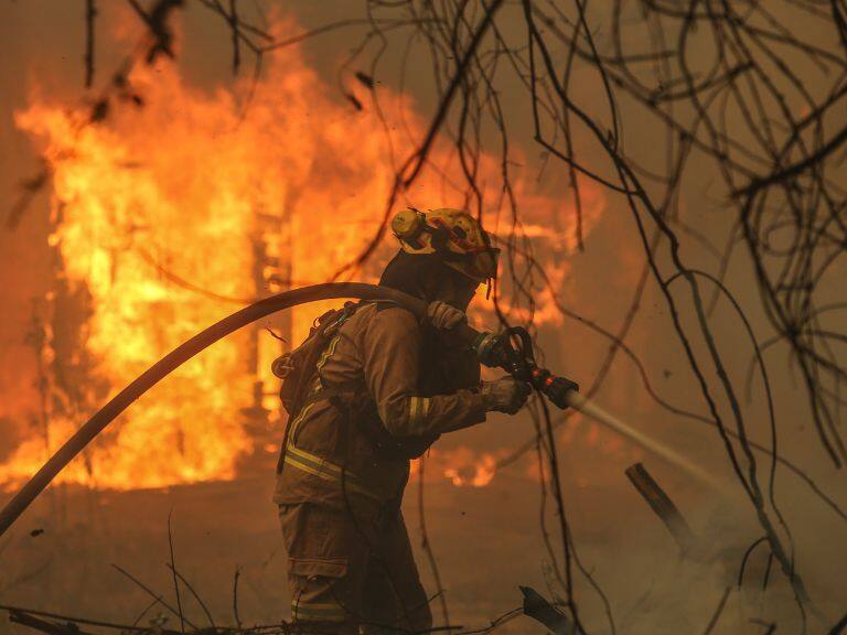 Senapred ordena evacuación de sector El Junquillo en la comuna de Marchihue por incendio forestal