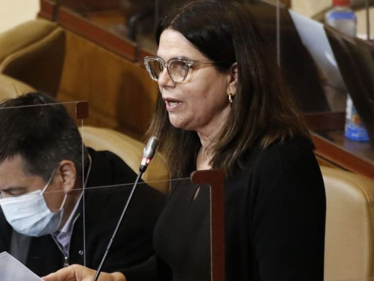 «Nuestros queridos locos»: Ximena Ossandón se refiere así a pacientes psiquiátricos en medio de interpelación a ministra Yarza