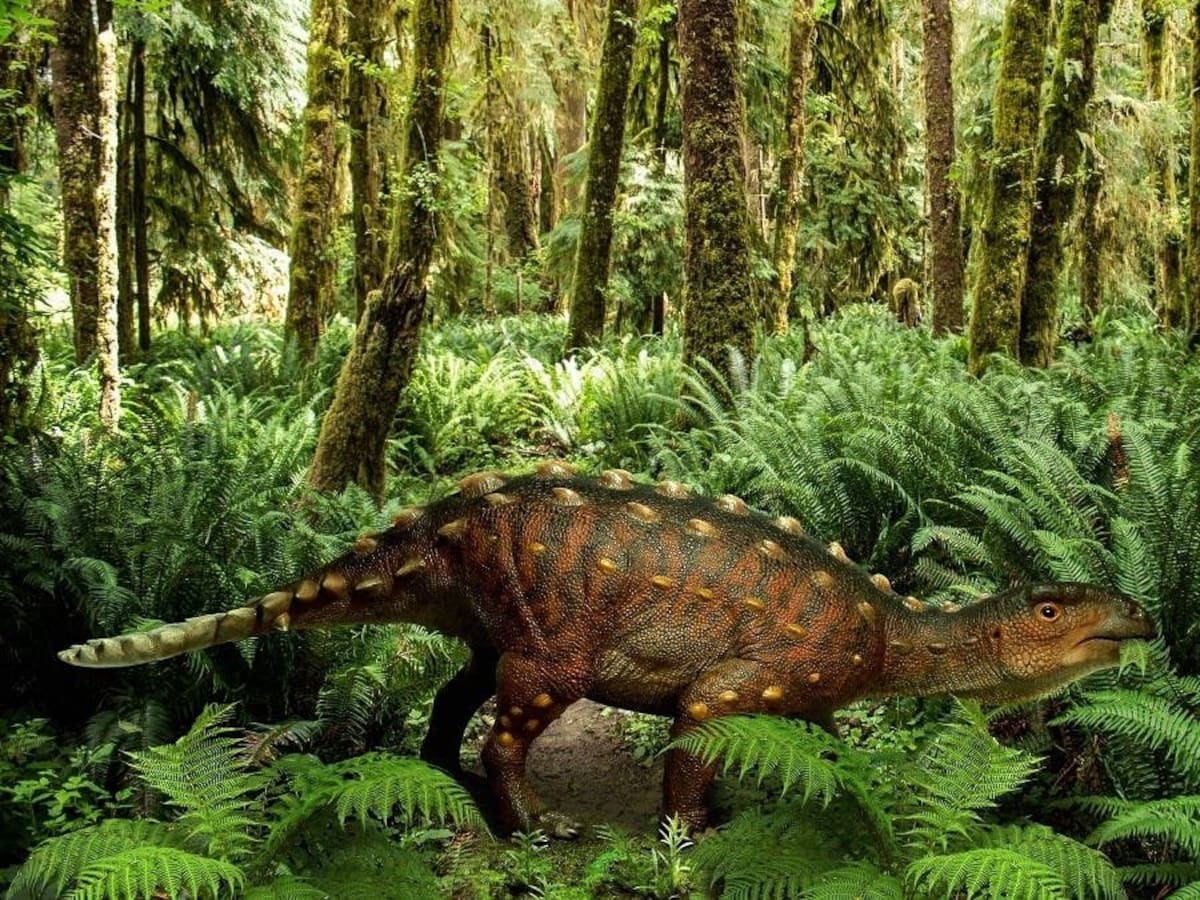Stegouros elengassen: La nueva especie de dinosaurio descubierta en Chile