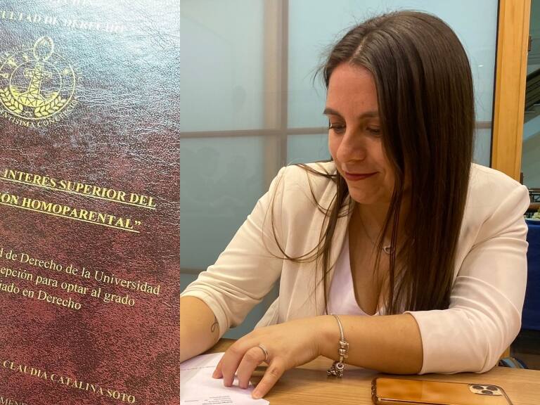 Movilh exige renuncia de seremi de Justicia del Biobío por su tesis que apuntó contra adopción homoparental