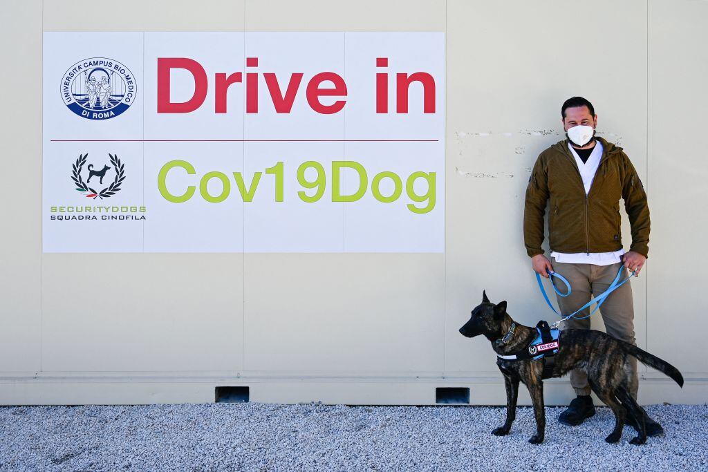Un instructor y un perro que detecta el Covid-19 en un ensayo clínico en Italia