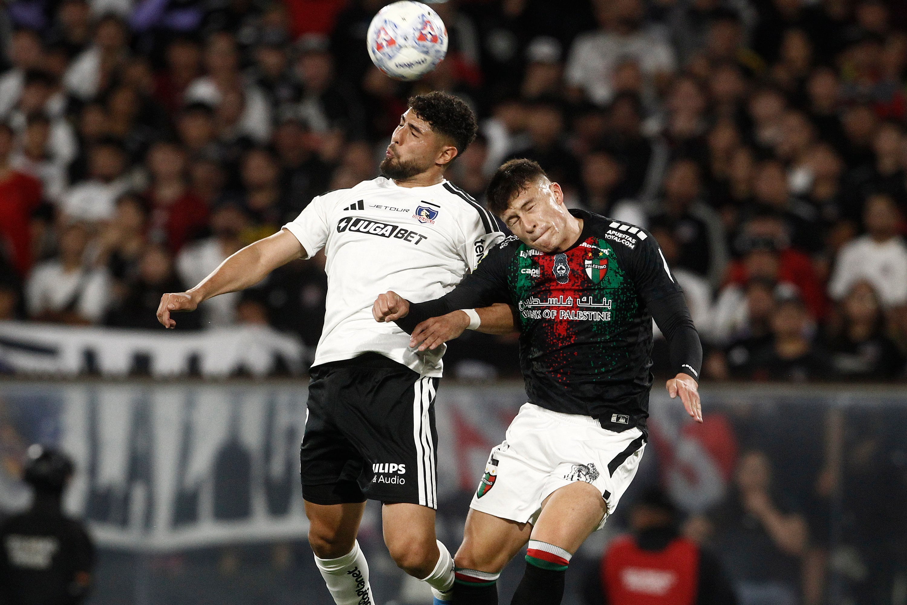 Oficial: Palestino confirma el estadio donde recibirá a Colo Colo por la Liga de Primera