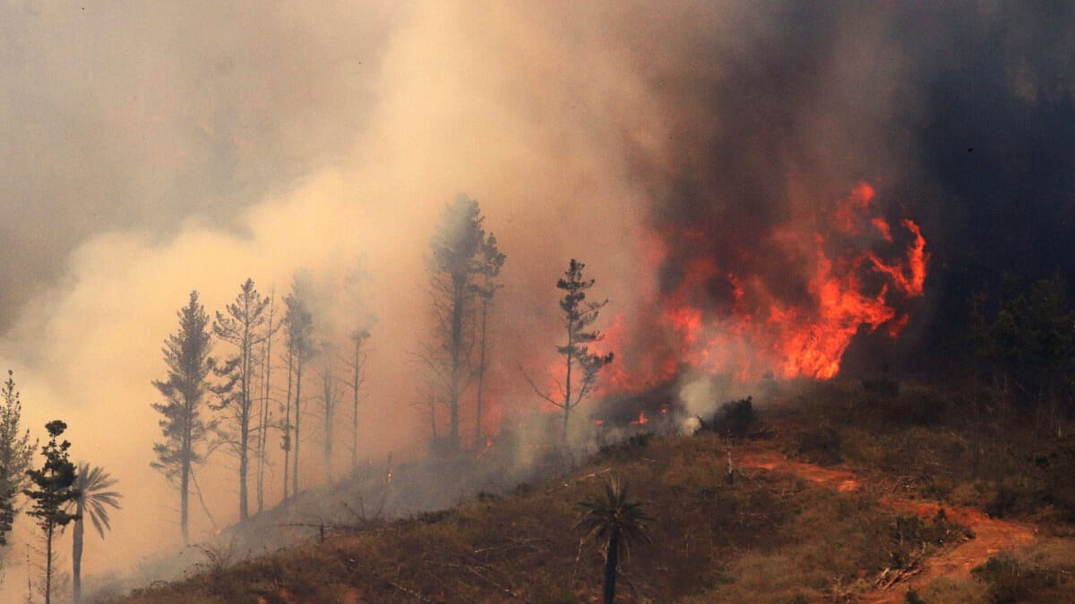Balance de la emergencia en la Región de Valparaíso por incendios forestales