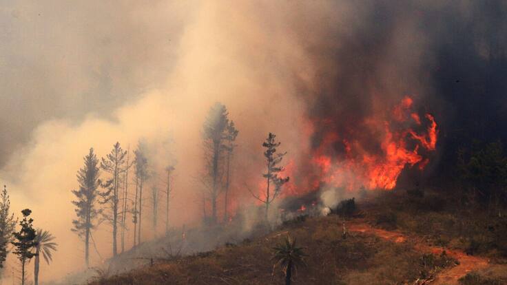 Balance de la emergencia en la Región de Valparaíso por incendios forestales