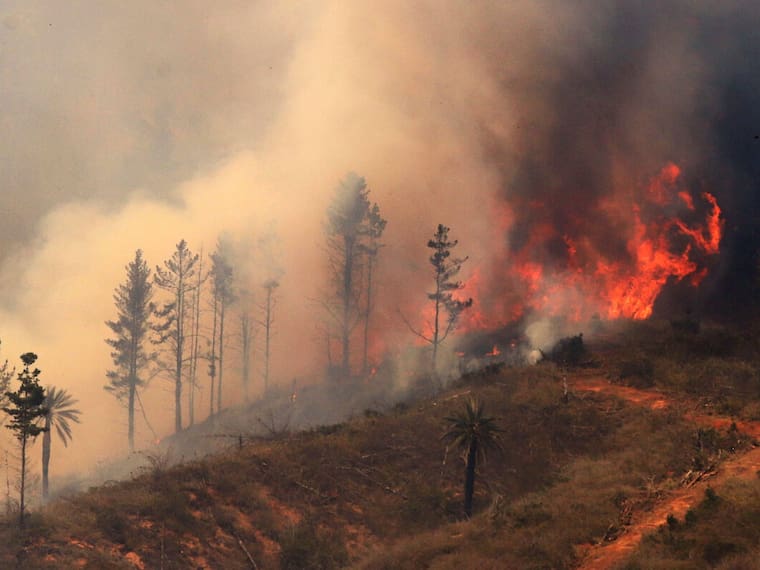 Balance de la emergencia en la Región de Valparaíso por incendios forestales
