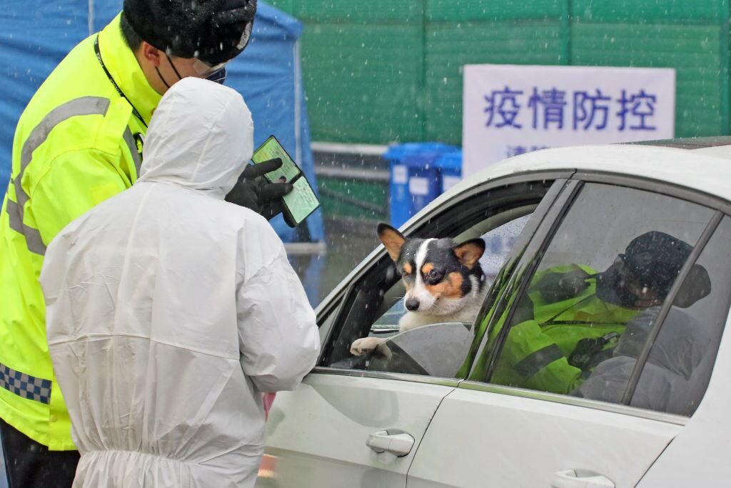 Funcionarios de gobierno revisan a pasajeros de un vehículo en Yantai