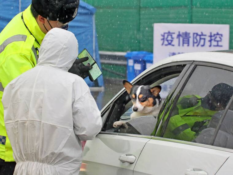 Funcionarios de gobierno revisan a pasajeros de un vehículo en Yantai