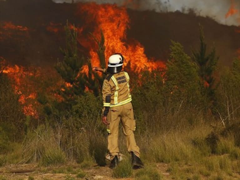Intendente de Valparaíso: Incendio está en fase de control