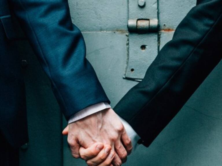 Comisión de Constitución del Senado aprobó idea de legislar sobre el matrimonio igualitario
