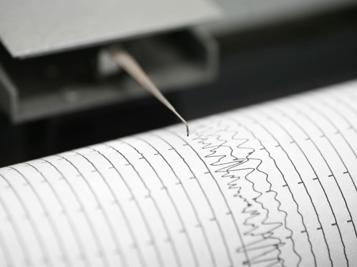 SHOA descarta riesgo de tsunami en las costas de Chile tras temblor registrado en el sur del país
