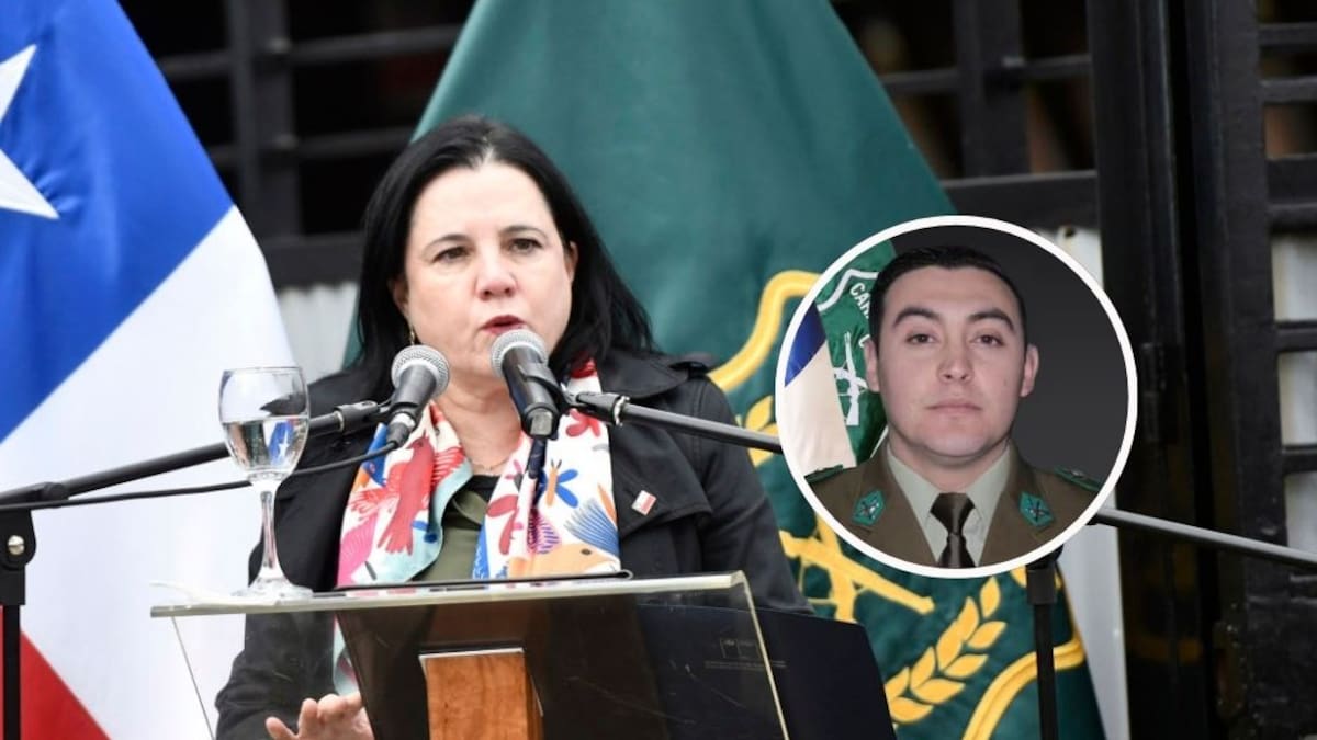 Ministra Steinert pide cautela tras nuevo antecedente en muerte de carabinero en Puerto Varas