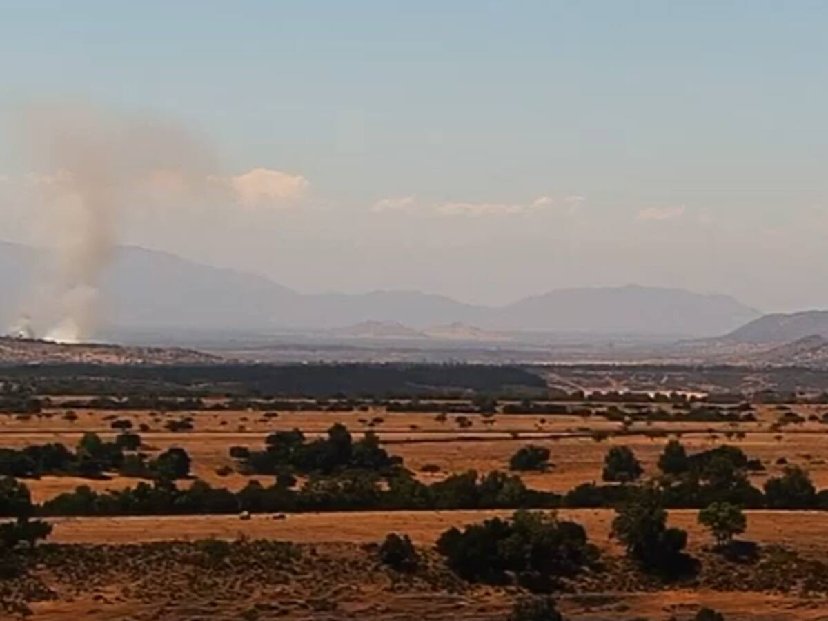 Incendio forestal amenaza a viviendas en Marchigüe: Conaf y Bomberos combaten las llamas