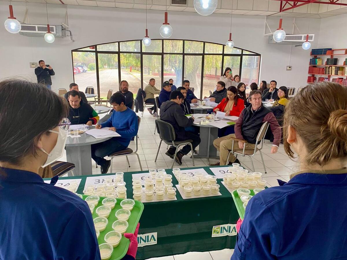 Científicos chilenos estudian nueva leche alta en proteína para alérgicos