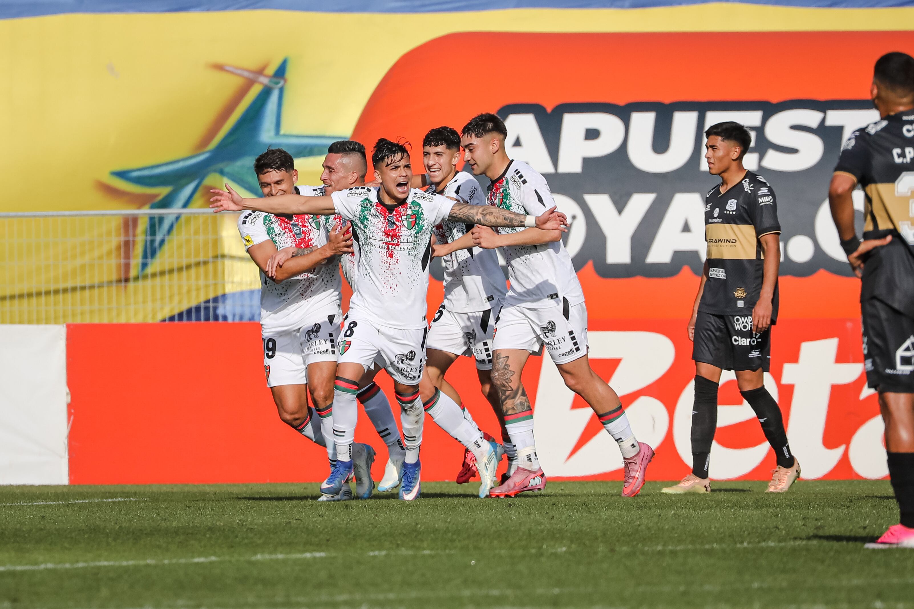 Palestino derrotó a Everton en Vila por la Liga de Primera
