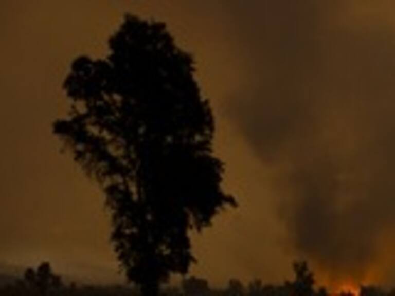 Balance de la Onemi indicó 20 focos activos de incendio y 31 controlados a nivel nacional