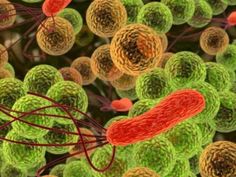 En Superciencia conversamos sobre la primera base global de microbios