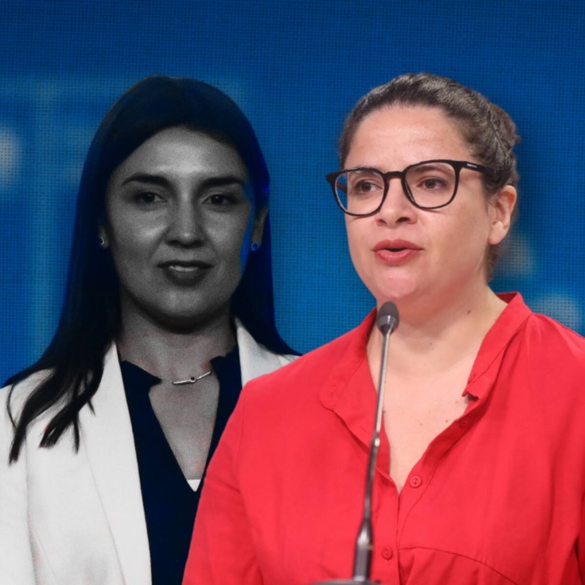 Ministra Orellana y dudas ante implementación de proyectos en gestión de Judith Marín: “La ley no es una opción”