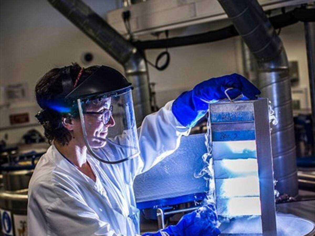Conversamos sobre la convocatoria especial de Becas Chile en Superciencia en ADN