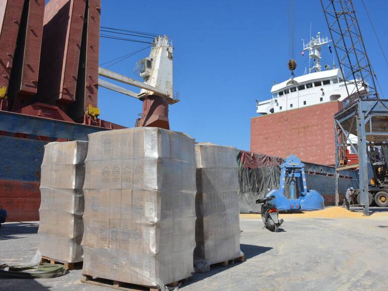 El primer barco con carga de cereales de Ucrania en el puerto de Tripoli