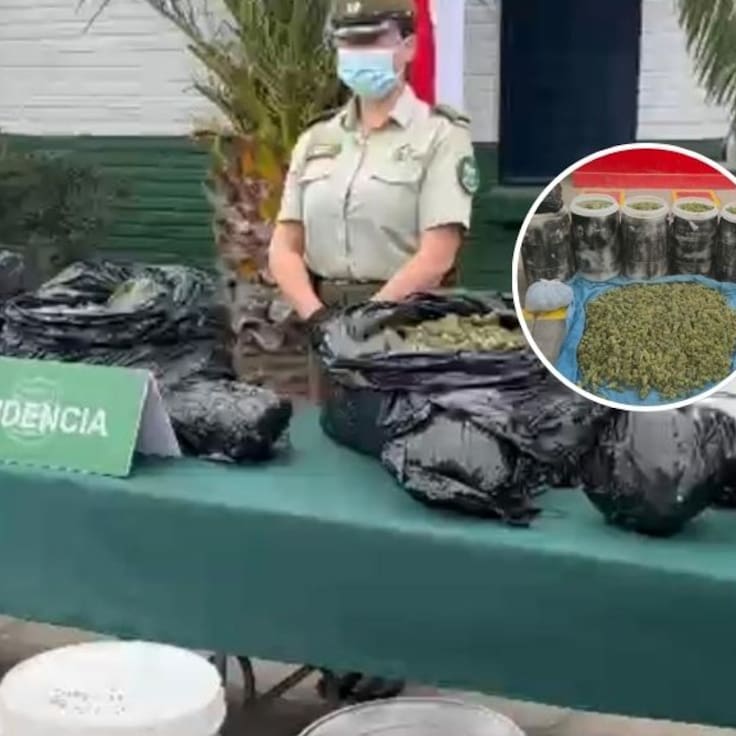 Fuerte olor alertó a los vecinos: carabineros incauta varios tambores con marihuana de alta calidad en casa de Pudahuel