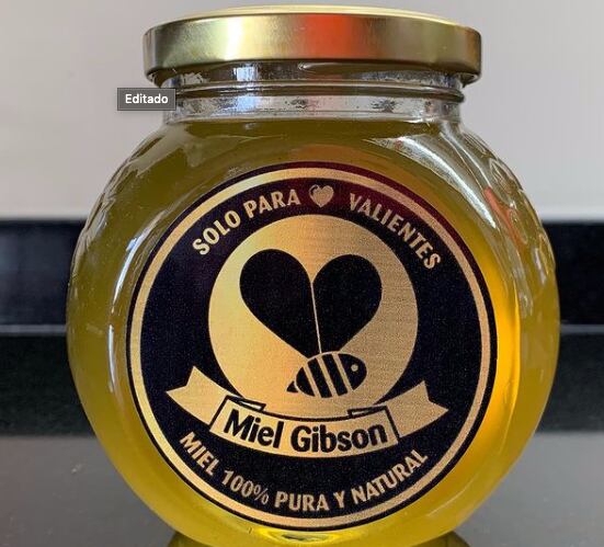 Miel Gibson encendió críticas tras tuit sobre  Barrio Lastarria.