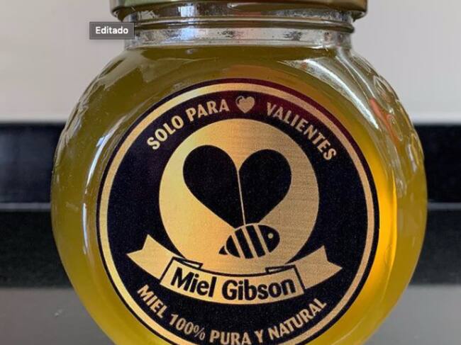 Miel Gibson encendió críticas tras tuit sobre Barrio Lastarria.