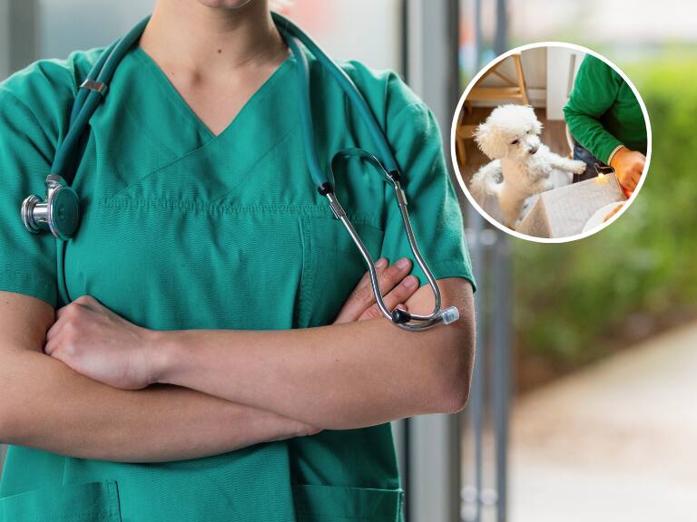 Soy veterinario: estos son los alimentos que nunca deberías darle a tu mascota en Navidad y Año Nuevo