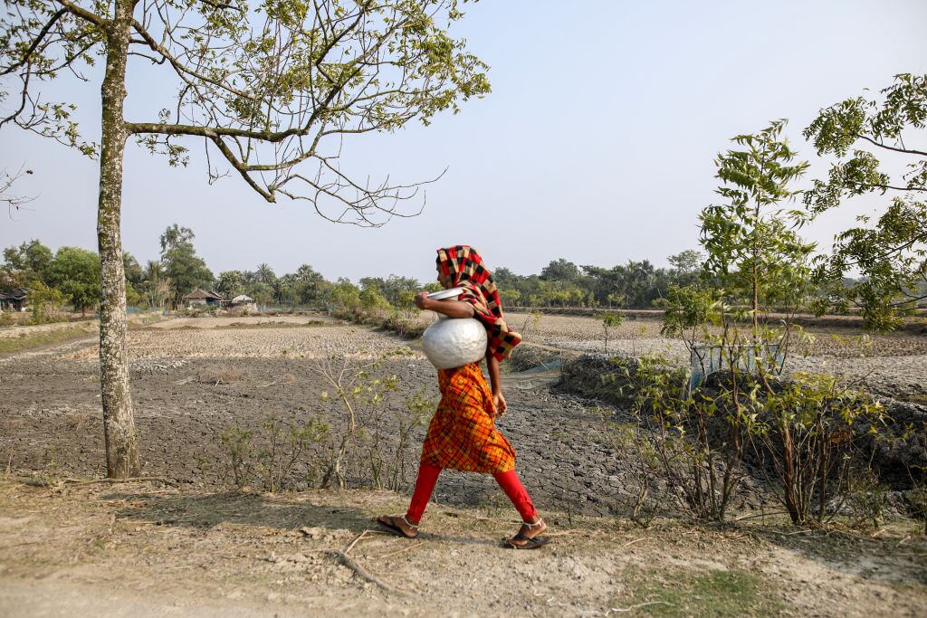 Una mujer camina frente a campos secos en una zona de Bangladesh