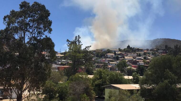 Incendio forestal Viña del Mar - Alerta Roja
