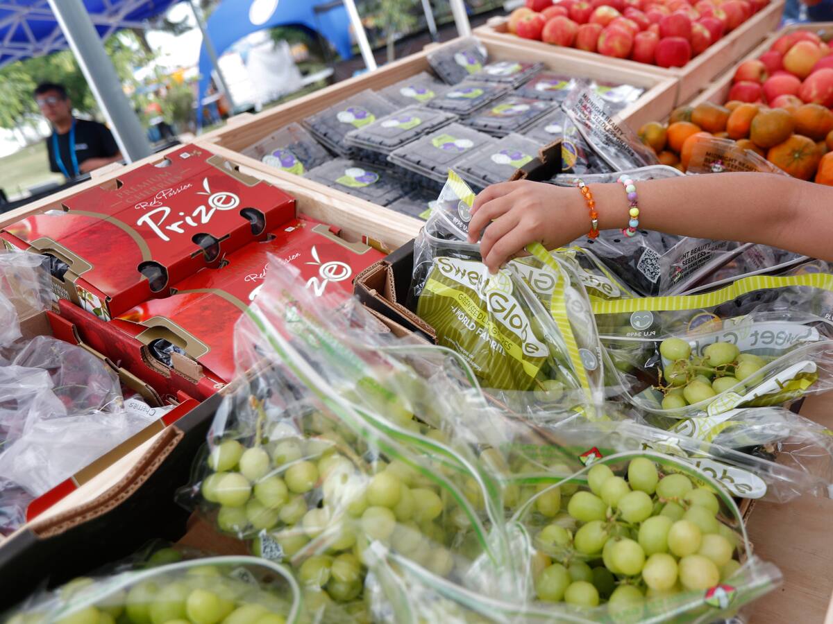 “Chile no puede depender de un solo mercado, necesita liderazgo global”, dice candidata al directorio del gremio de Frutas de Chile