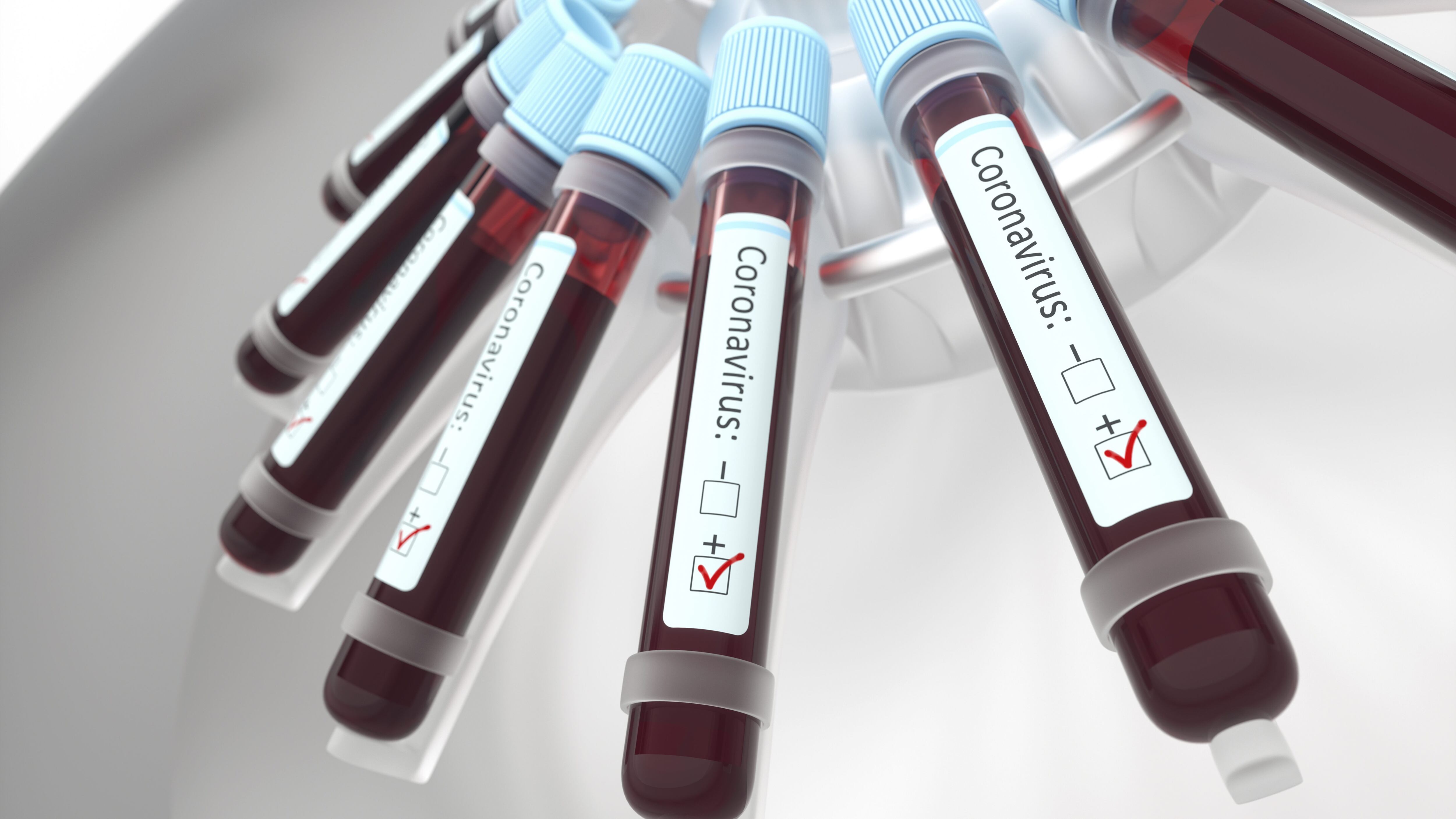 Coronaviruses research, conceptual illustration. Vials of blood in a centrifuge being tested for coronavirus infection.