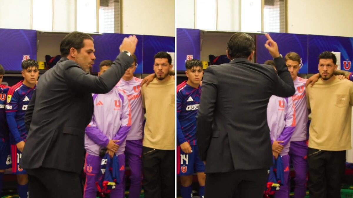 @udechile