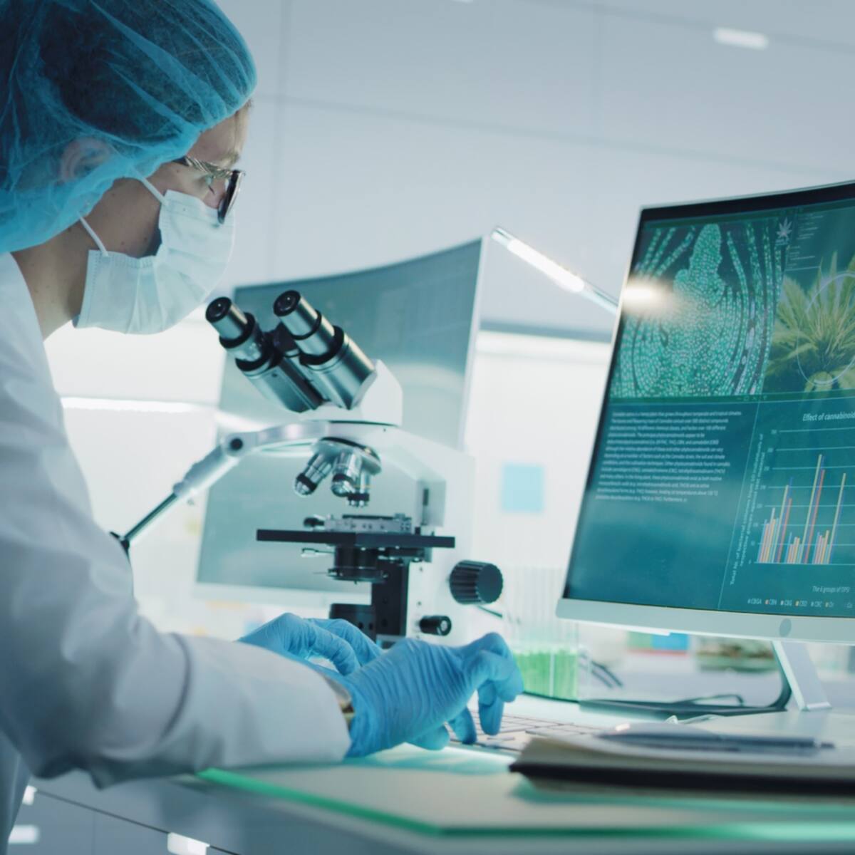 Científicos frenan agresividad de células cancerosas mamarias usando dosis bajas de THC