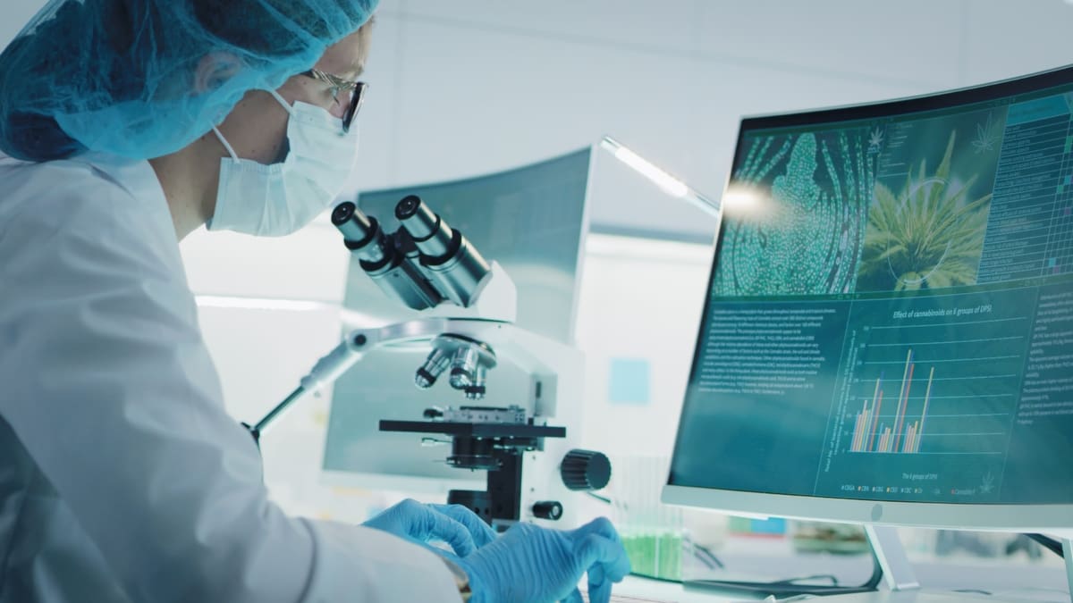 Científicos frenan agresividad de células cancerosas mamarias usando dosis bajas de THC