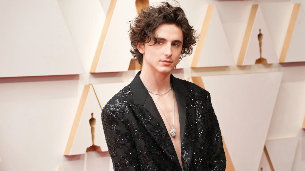 HOLLYWOOD, CALIFORNIA - MARCH 27: Timothée Chalamet attends the 94th Annual Academy Awards at Hollywood and Highland on March 27, 2022 in Hollywood, California. (Photo by Jeff Kravitz/FilmMagic)