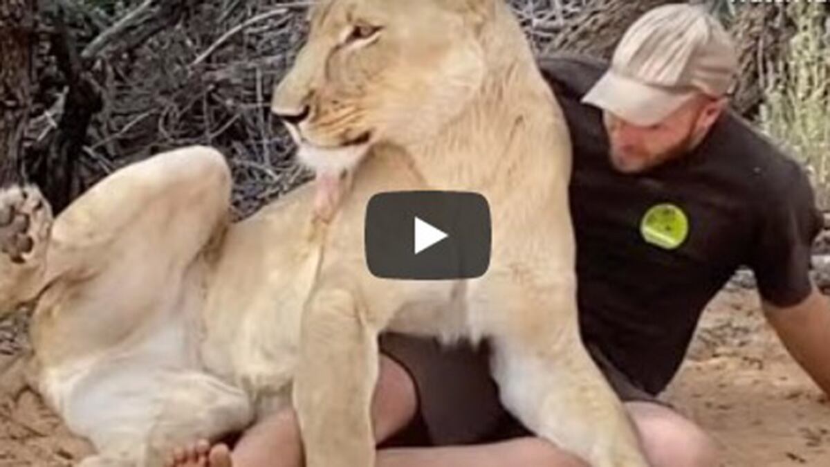 León Viral en YouTube