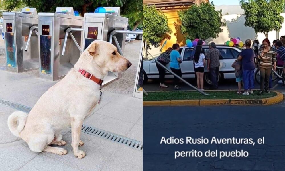 Capturas