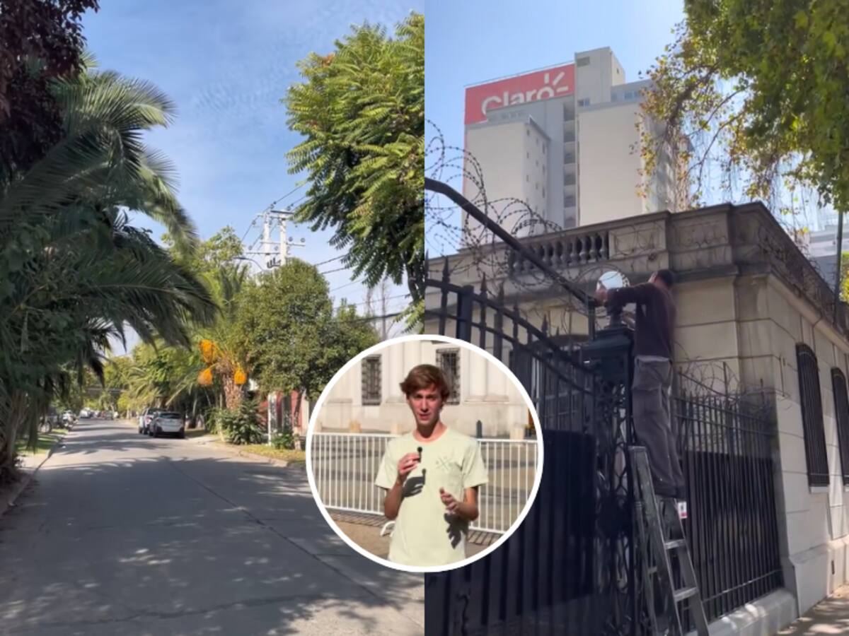 “Es algo que asocio más a animales que a personas”: Extranjero en Chile revela el aspecto que más lo impactó al llegar al país