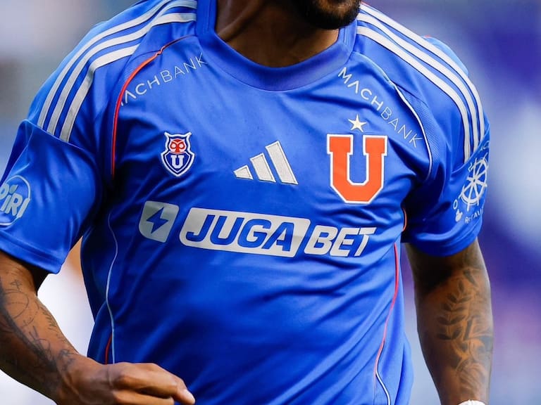 @udechile