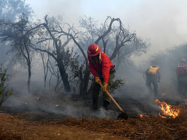 Delegado presidencial de La Araucanía confirma 16 detenidos por incendios forestales en la región: “La mayoría ha sido por negligencia”