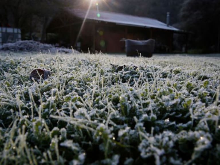 Heladas en cinco puntos de Chile