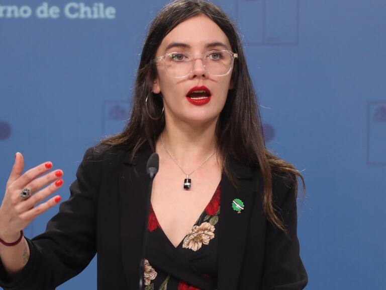 Vallejo y tuits de ministros sobre Carabineros: “El Gobierno la mejor respuesta que puede dar a las dudas es que está trabajando en el reforzamiento policial”