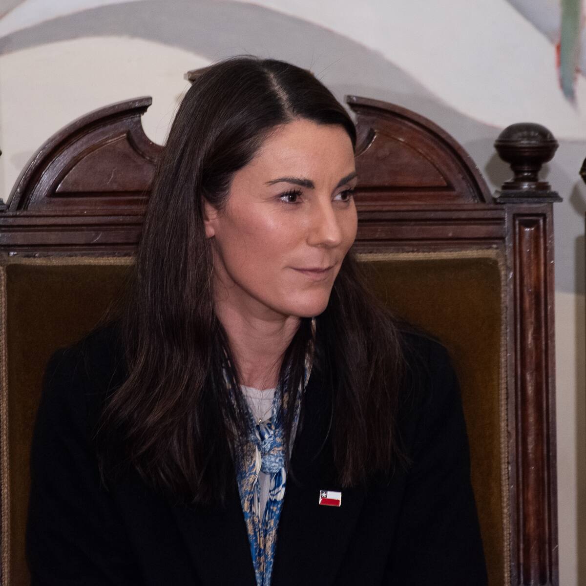 Gobierno defiende “Escuelas Protegidas” tras dictamen del TC y espera fallo completo: “Nuestro objetivo sigue siendo el mismo”